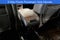 2014 Chevrolet Traverse LTZ
